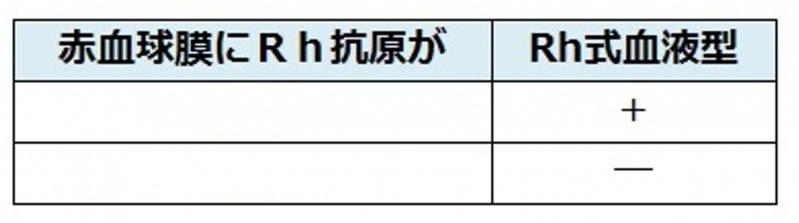 ファイル:04530-wb.jpg