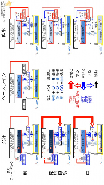 ファイル:ADHControlSummaryJpn-2020-wb.jpg