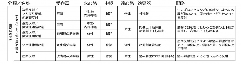 ファイル:四肢が動く多シナプス反射.jpg