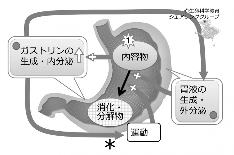 ファイル:04690.jpg