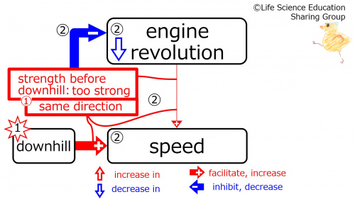 DownhillDuringMiddleFeedbacktoEngine-Eng.jpg