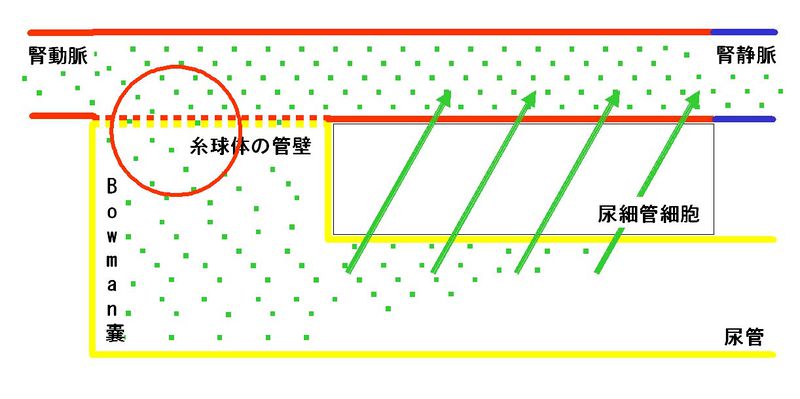 ファイル:00275.jpg