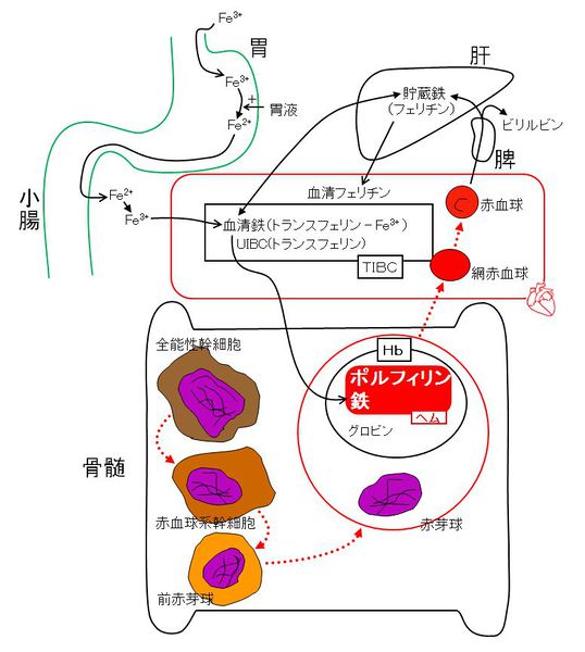 ファイル:00413.jpg