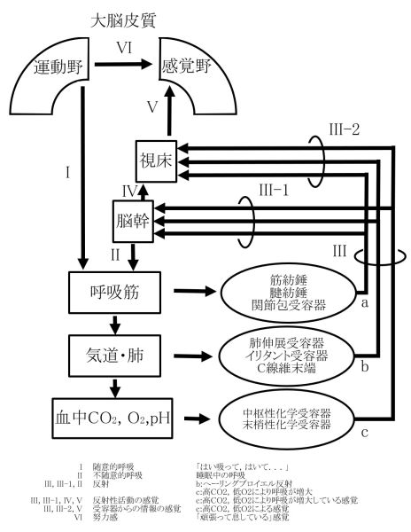 ファイル:00838.jpg