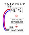2011年4月8日 (金) 11:14時点における版のサムネイル