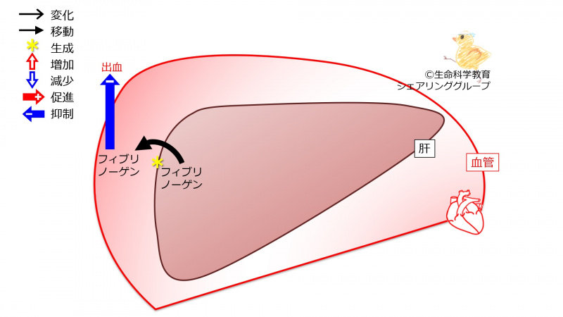 ファイル:03869.jpg