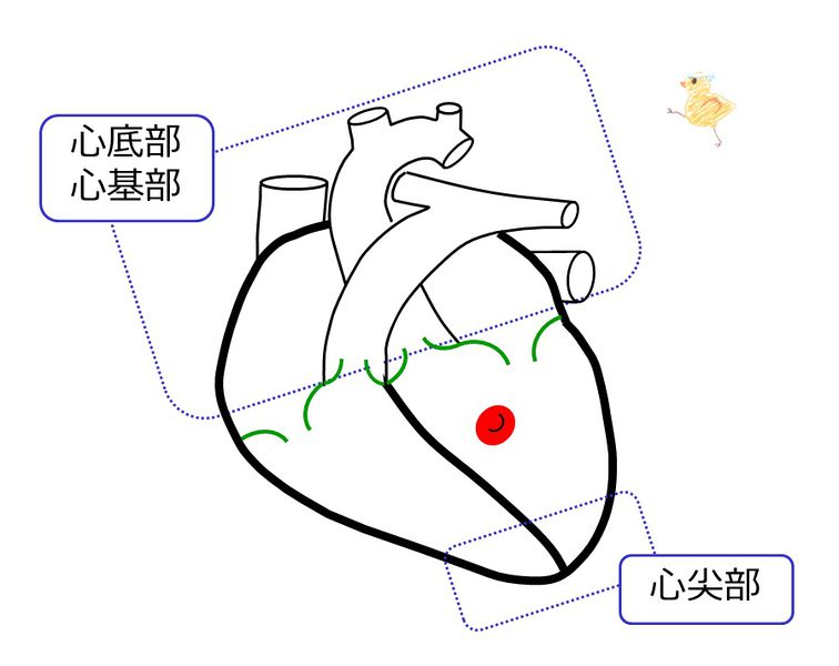 ファイル:03974.jpg