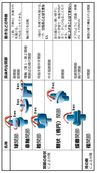 ファイル:JointClassification-Basic-Jpn-wb.jpg