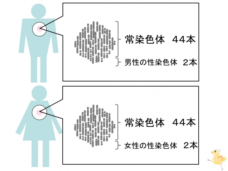 ファイル:01660.jpg