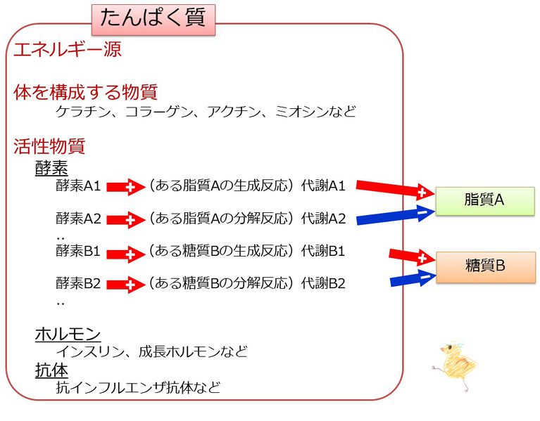 ファイル:04052.jpg