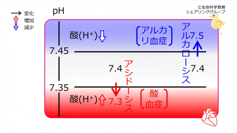 ファイル:04439.jpg