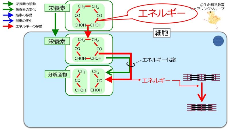 ファイル:04718.jpg