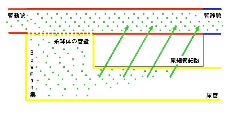 ファイル:00278.jpg
