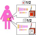 2024年3月4日 (月) 14:49時点における版のサムネイル