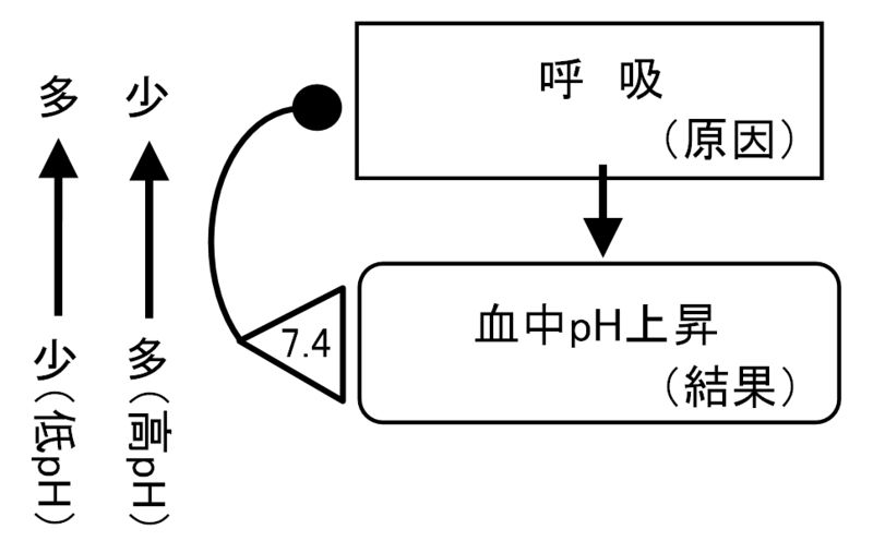 ファイル:01367.jpg