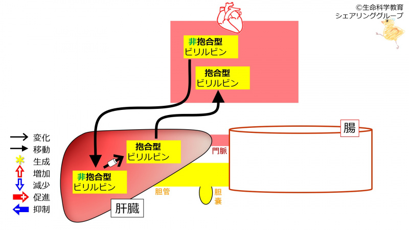ファイル:01302.jpg