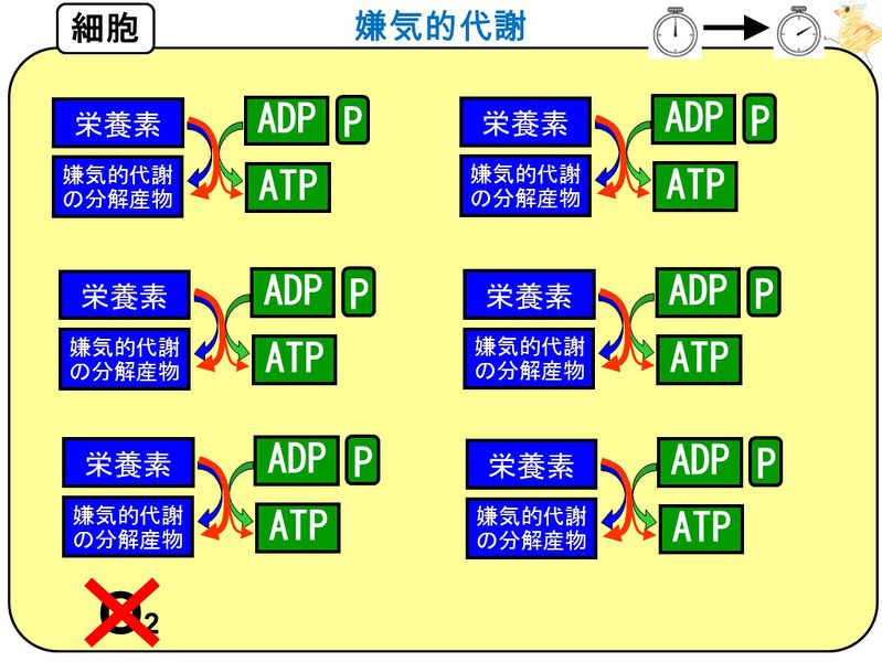 ファイル:03505.jpg