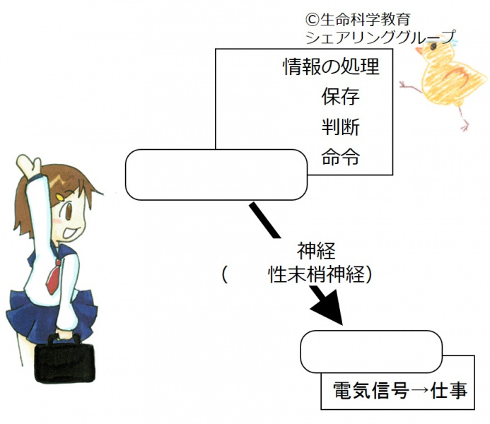 ファイル:03778-wb.jpg