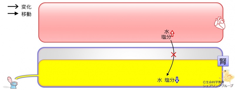 ファイル:03805.jpg