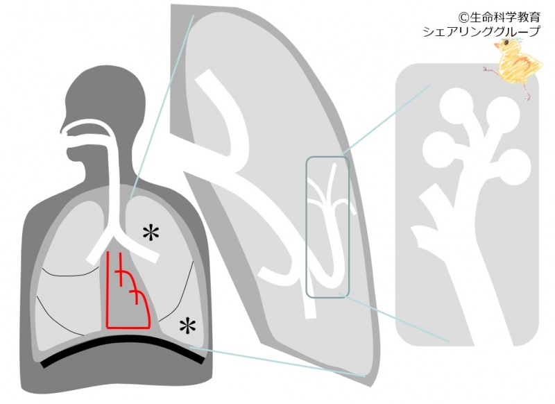 ファイル:04162.jpg