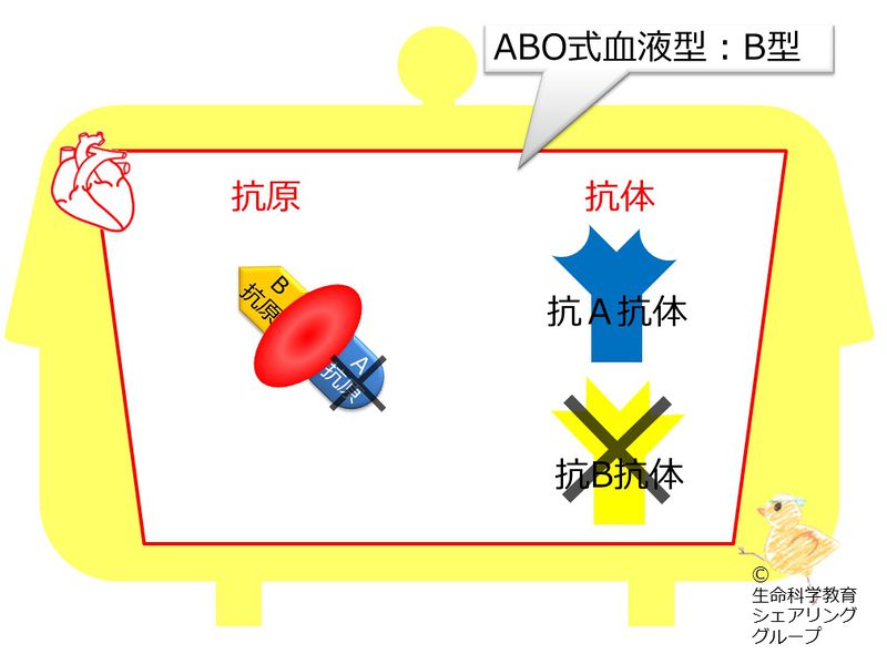 ファイル:04551.jpg