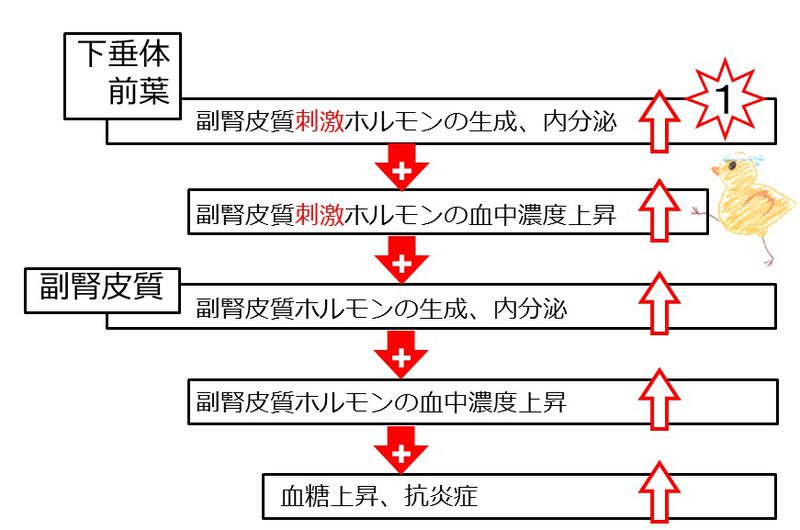 ファイル:03992.jpg