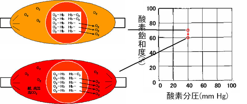ファイル:00365.jpg