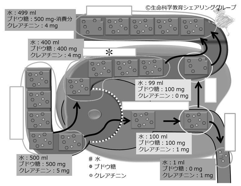 ファイル:04591.jpg