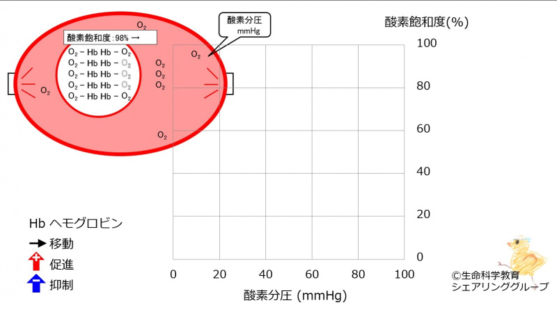 ファイル:03302-wb.jpg
