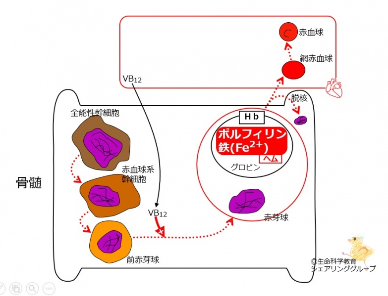 ファイル:03404.jpg