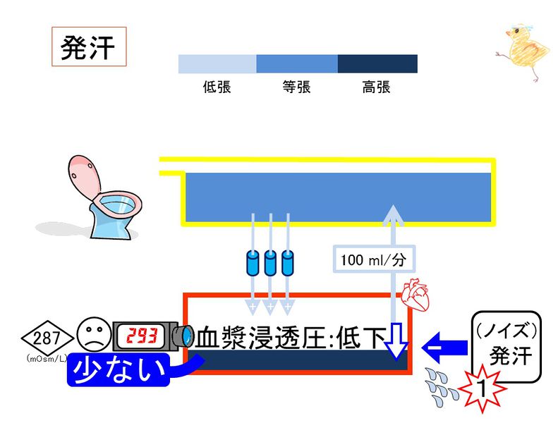 ファイル:03937.jpg