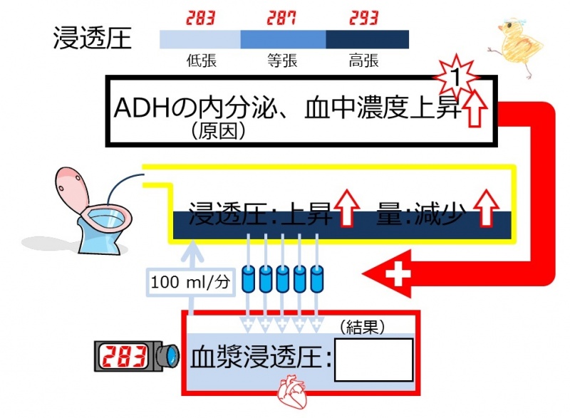ファイル:03995-wb.jpg