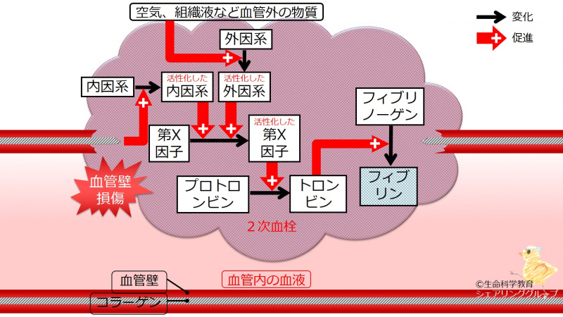ファイル:04703.jpg