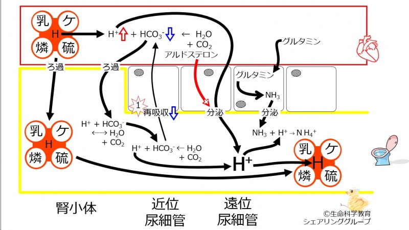 ファイル:00703.jpg