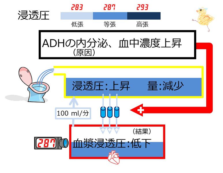 ファイル:03996.jpg