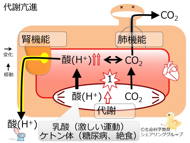 ファイル:04416.jpg