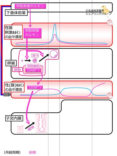 ファイル:046501.jpg