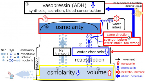 ADHControlToWaterIntake3Eng.jpg