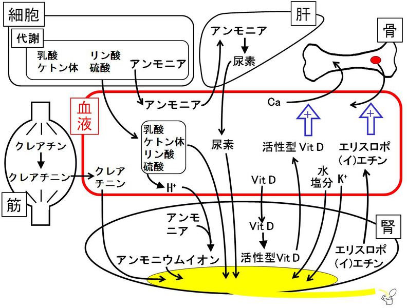 ファイル:01352.jpg