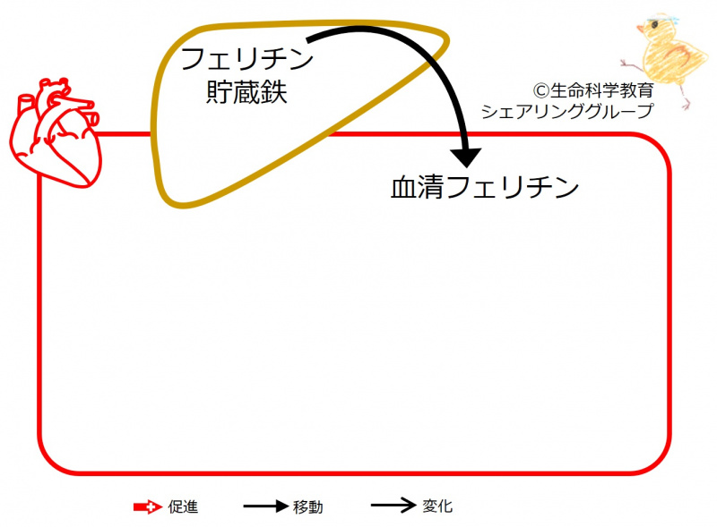 ファイル:04424.jpg