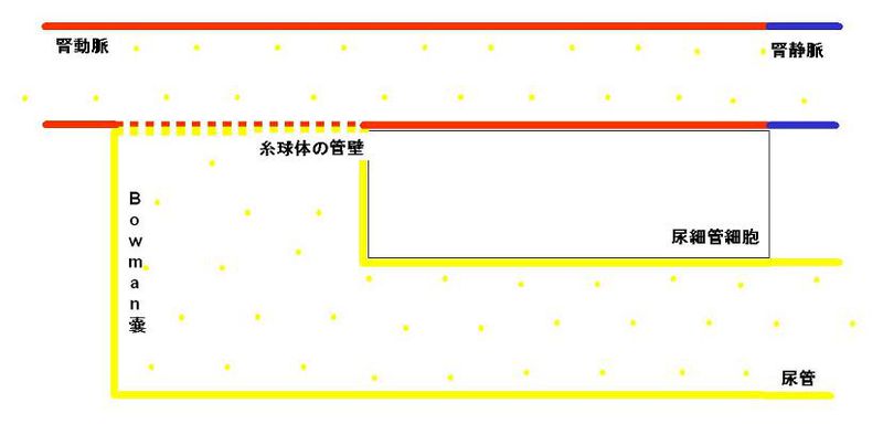 ファイル:00296.jpg