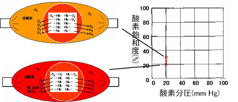 ファイル:00364.jpg