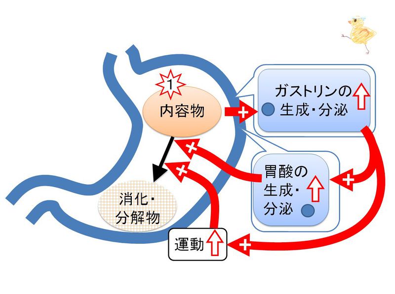 ファイル:03386.jpg