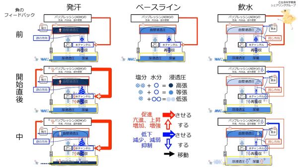 /wiki/images/thumb/8/8a/ADHControlSummaryJpn.jpg/600px-ADHControlSummaryJpn.jpg