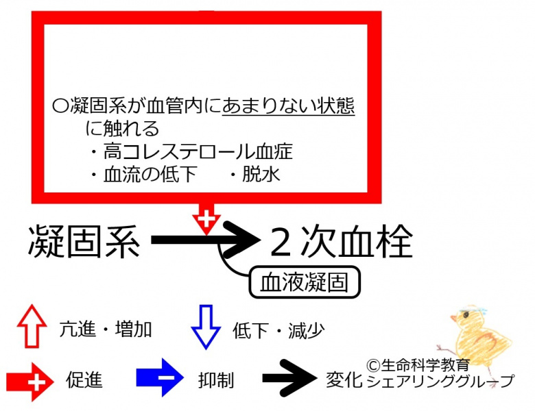 ファイル:Bad-coagulation-wb.jpg