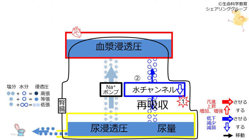 ファイル:DecChannel.jpg
