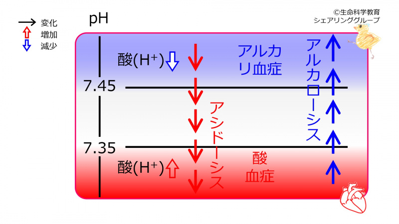 ファイル:00650.jpg