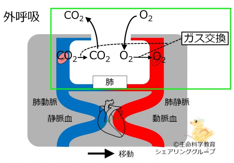 ファイル:03454.jpg