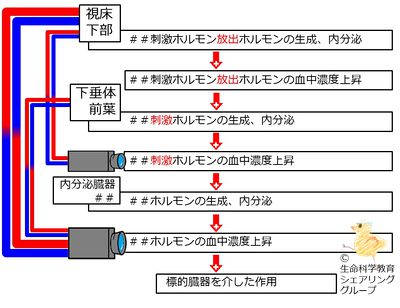 04630.jpg