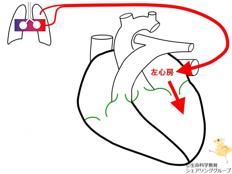 ファイル:01712-wb.jpg